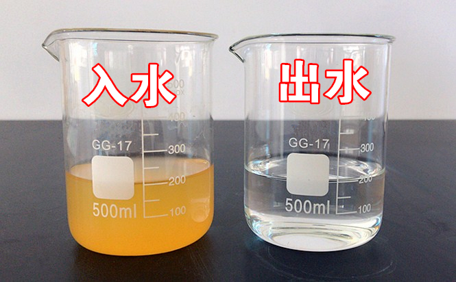 旧日秦岭伤疤 今日景致如画——陕西hahabet集团黄龙河道域传染治理侧记