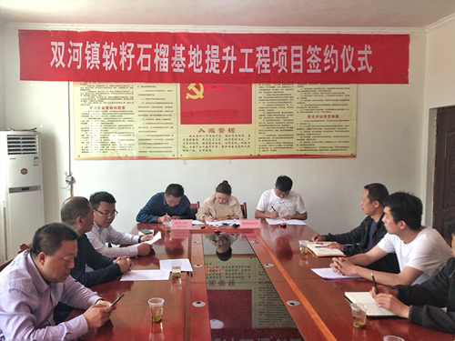 陕西hahabet集团签约旬阳县双河镇软籽石榴种植基地提升工程项目 陕西hahabet集团签约旬阳县双河镇软籽石榴种植基地提升工程项目